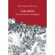 Calatafimi. Una storia per immagini | Michelangelo Maiorana